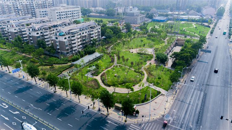 DJI_0018 - 副本.jpg